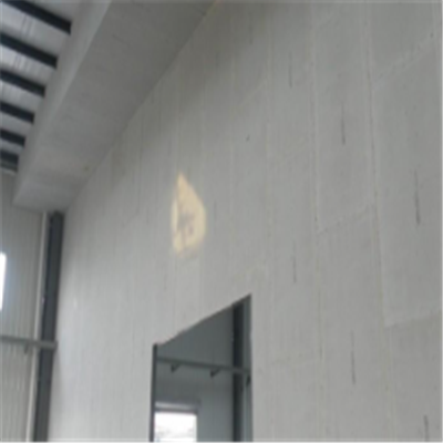 海沧新型建筑材料掺多种工业废渣的ALC|ACC|FPS模块板材轻质隔墙板